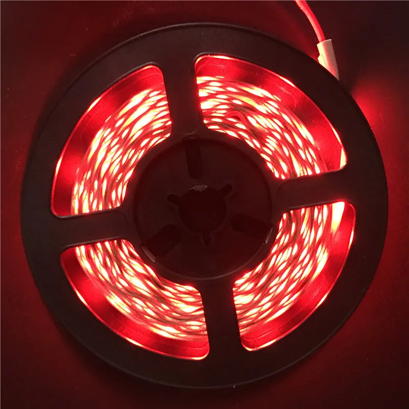 LED Strip Light 12V 5M 300