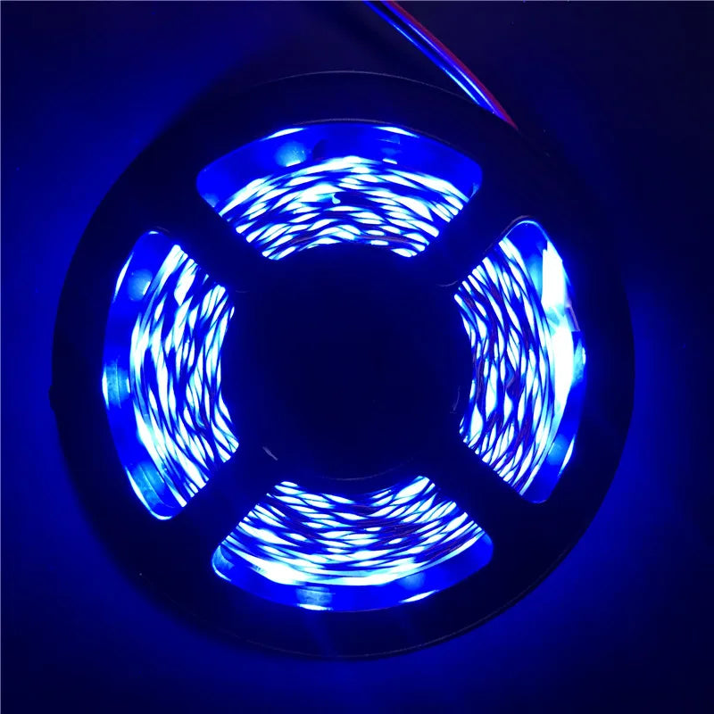LED Strip Light 12V 5M 300
