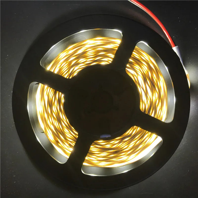 LED Strip Light 12V 5M 300
